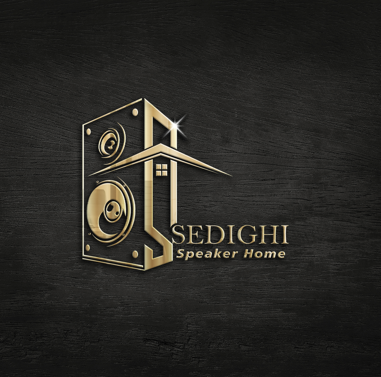 لوگو خانه اسپیکر صدیقی